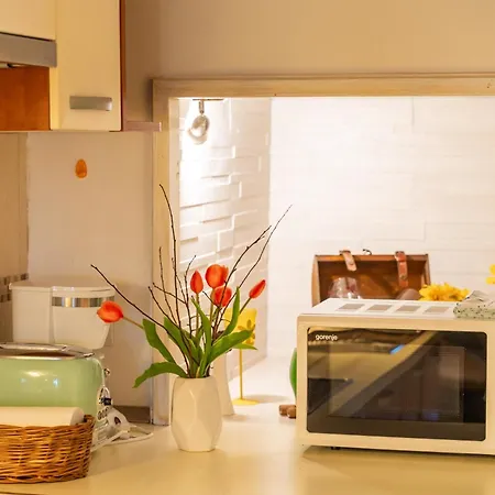 公寓 St. Jacob Old Town & Sea View 杜布罗夫尼克